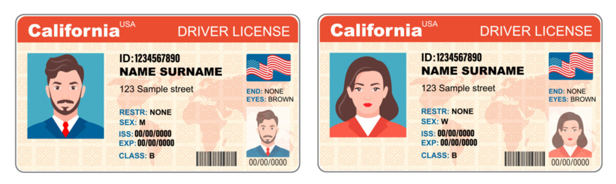 Flat man driver license plastic card template, id card vector illustration
