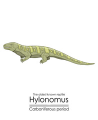 Hylonomus, the oldest reptile, a stem tetrapod from the Carboniferous Period. Colorful illustration on a white background