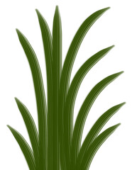 The grass is a lush green bush.