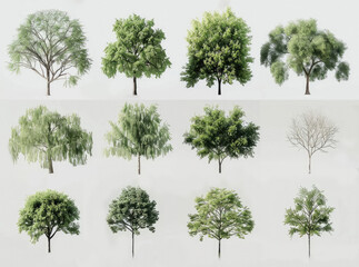 Architectural Tree Assets