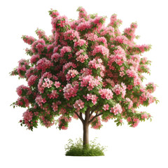 A tree with pink flowers is the main focus of the image. The tree is surrounded by green leaves and is the only object in the scene. The pink flowers give the image a sense of beauty and tranquility