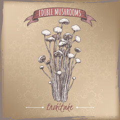 Flammulina filiformis aka enokitake mushroom color sketch on vintage background. Edible mushrooms series. - 741602228
