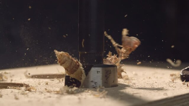 Witness the meticulous precision of a forestry drill as it delicately works through wood in slow motion. Each calculated movement reveals the mastery behind woodworking craftsmanship.