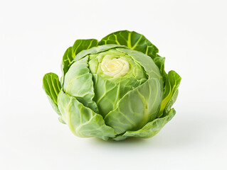 Fototapeta premium Brussels sprouts isolated on a white background. Minimalist style.