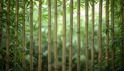 Zelfklevend Fotobehang Vertical bamboo panels forming a natural partition - wide format © Davivd