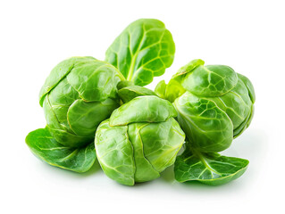 Brussels sprouts isolated on a white background. Minimalist style.