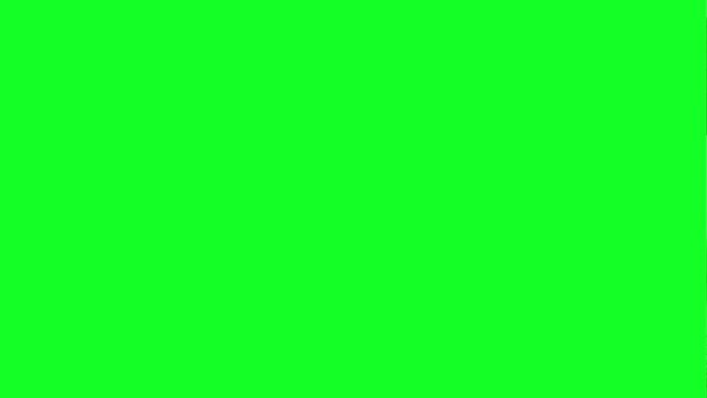 screen looping animated background. green screen