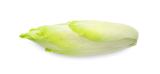 One raw ripe chicory isolated on white, top view