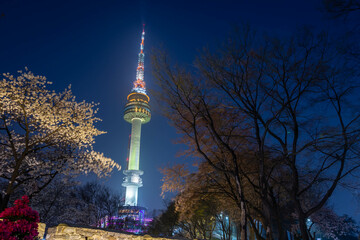 Obraz premium Spring on Namsan Mountain and cherry trees in Seoul, South Korea.