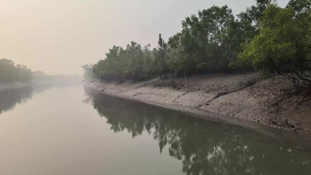 4K UHD video footage of the Sundarbans mangrove forest in a foggy winter morning