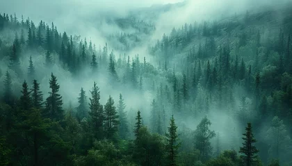 Afwasbaar Fotobehang Mistige ochtendstond Misty landscape featuring a fir forest in a vintage retro aesthetic