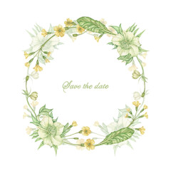 watercolor wreath with green leaves of hellebore flowers, yellow primrose, organic spring and summer bouquet highlighted on a white background. It is suitable for making wedding cards, invitations, an