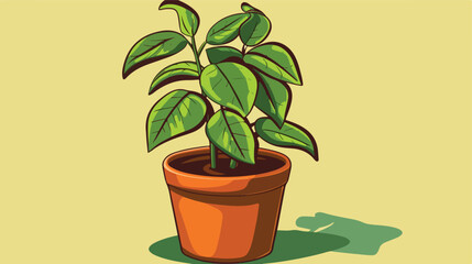 Money plant in pot vector illustration graphic de