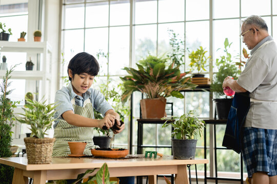 Grandfather gardening and teaching grandson take care  plant indoors