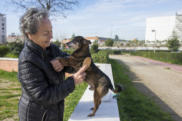 Smiling senior woman with her dog