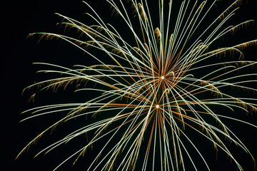 Vibrant Firework Display at Night with Golden Streaks and Feathery Bursts