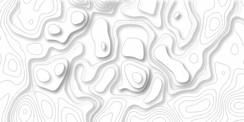 The stylized height of the topographic map in contour, lines. Topography and geography map grid abstract backdrop. creative cartography illustration. Black and white landscape geographic pattern.
