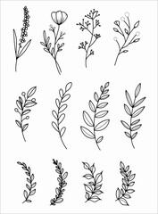 Flower stems and leaves bunch Vector SVG outline