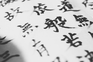 Japanese "Kanji" word. 