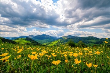Idyllic landscape in the spring with fresh green meadows and blooming flowers and mountain tops in...