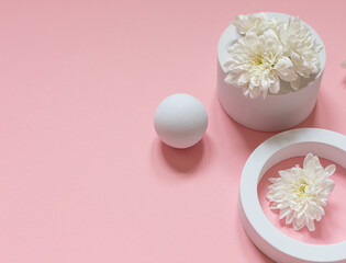 White round geometrical shapes with white chrysanthemum flowers on the pink background. Top view. Floral abstract composition