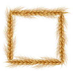 Ears of wheat. Bakery farm food concept. Watercolor frame of Cereal ears. Template for bakeries, bakehouses confectioner. Bakery. For design of labels and packaging of goods, cards, shops