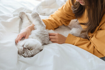 Happy asian woman massages with fluffy grey cat with relax on the bed at home, A touching moment...