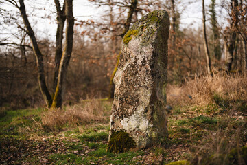 Langer Stein, Obermoschel (Februar 2024)