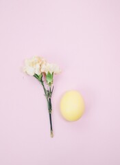 Easter decoration with yellow colored egg and carnation flowers on pink background 