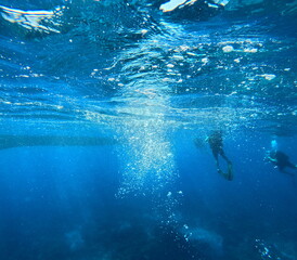 Fototapeta na wymiar oxygen bubbles in the ocean from scuba divers, aquatic undersea background photo