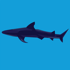 Shark, a predator fish, swims underwater and hunts other fish. The mammal is drawn from a side view.