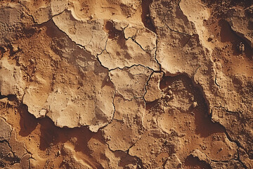 Fototapeta premium ground texture background pattern