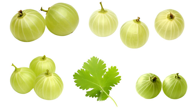 Gooseberry Collection: Fresh and Juicy Fruits in 3D Digital Art, Isolated on Transparent Background for Healthy Summer Designs