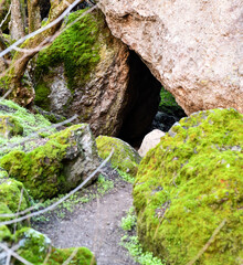 Moss on rocky hiking path