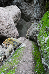 Moss on rocky hiking path