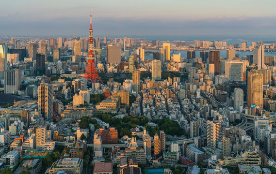 Aerial view of Tokyo downtown at sunset, Kanto region, Japan.