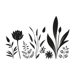 Free Download vector flower illustration