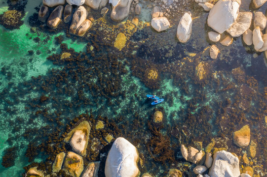 Aerial view of two paddle boarders in clear turquoise ocean water surrounded by kelp and boulders on a hot summer day, Cape Town, Western Cape, South Africa.