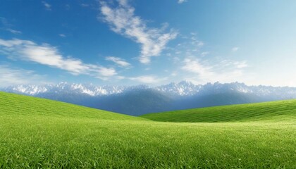 Obraz premium Landscape view of green grass field with blue sky background.