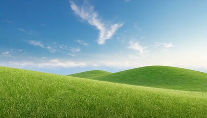 Landscape view of green grass field with blue sky background. 