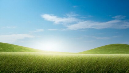 Obraz premium Landscape view of green grass field with blue sky background.