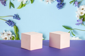 soft blue background with geometric shapes. Two cement cubic podiums and spring flowers. Mockup for...
