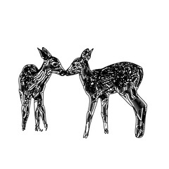 line sketch of antelope with transparent background © Mas