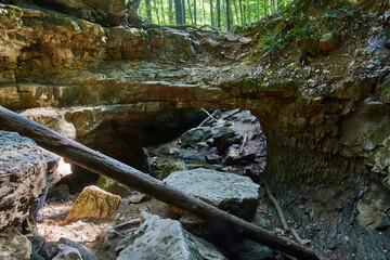 Serene Forest with Natural Rock Bridge at McCormick's Creek Falls, Eye-Level View
