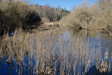 Overflown river Svitene in Latvia, Zemgale. Floods in sunny early spring day. Blue clear sky. Water...