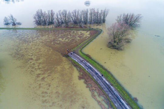 Aerial top view of people on flooded road during high water of river Waal, Gendtsche Waard, Gendt, Gelderland, Netherlands.