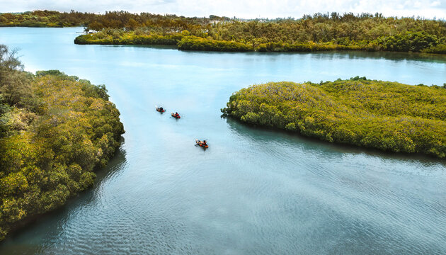 Aerial drone view of three people canoeing in orange - black canoes in the mangroves, Ilot Lievres, Flacq, Mauritius.