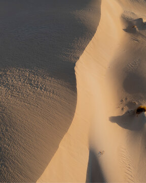 Aerial drone view of the sand dunes of Fowlers Bay in Eyre Peninsula, South Australia, Australia.