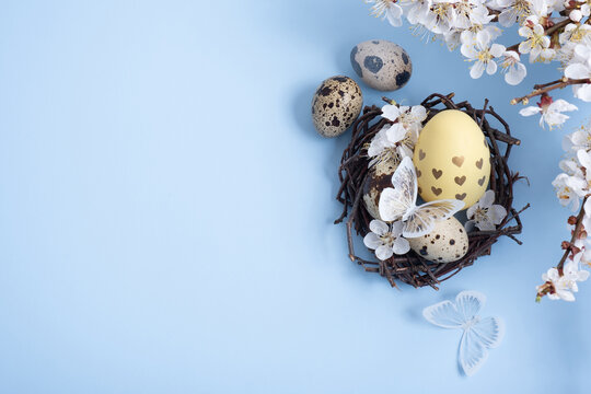 Easter eegs in the nest with blossom twigs and butterflies on blue background with copy space