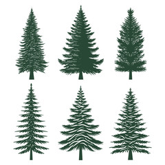 Pine tree silhouette set collection